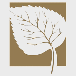 MOUNTAIN WEST FINANCIAL CORP logo