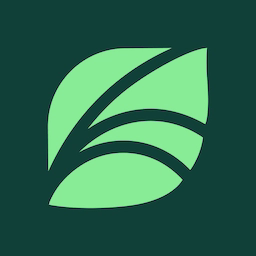 SPRING WIRELESS INC logo