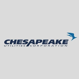 OCA CHESAPEAKE PARTNERS FEEDER FUND LLC logo