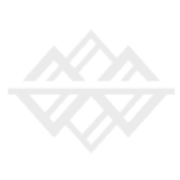 Mount Wilson Global Fund, L.P. logo