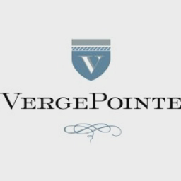 VergePointe Capital Fund, XII LP logo