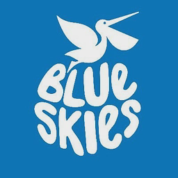 Blue Skies Networks, LLC logo