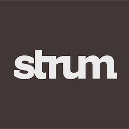 Lily&Strum, Inc. logo