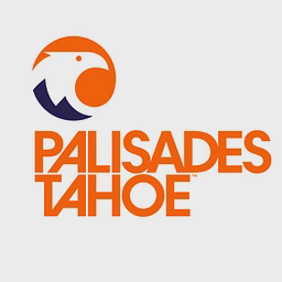 Palisades Partners LLC logo