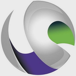 Virtua Pacesetter Holdings, LLC logo