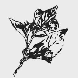 BELLADONNA RACING III, LLC logo