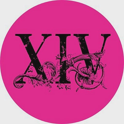 DS XIV LLC logo