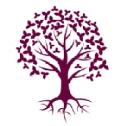 SFR3 SPV, a series of Long Angle Investments LLC logo