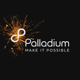 PalladiumX SPC Ltd -- Palladium-Q Segregated Portfolio logo
