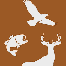 Georgia Opportunity LP logo