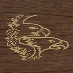 ARCLINE DOUBLE EAGLE CO-INVEST LP logo