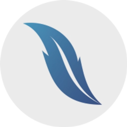 Aviation Infrastructure, DST logo