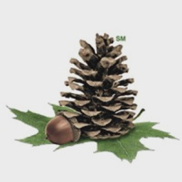 Molpus Woodlands Fund VI Co-Invest #1, L.P. logo