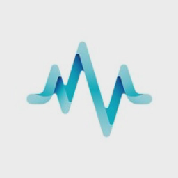 PULSE ASSET ALLIANCE INC. logo