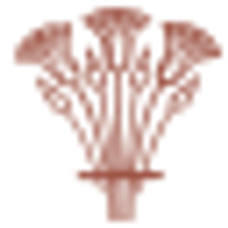 BADIYA B10 a Series of CGF2026 LLC logo